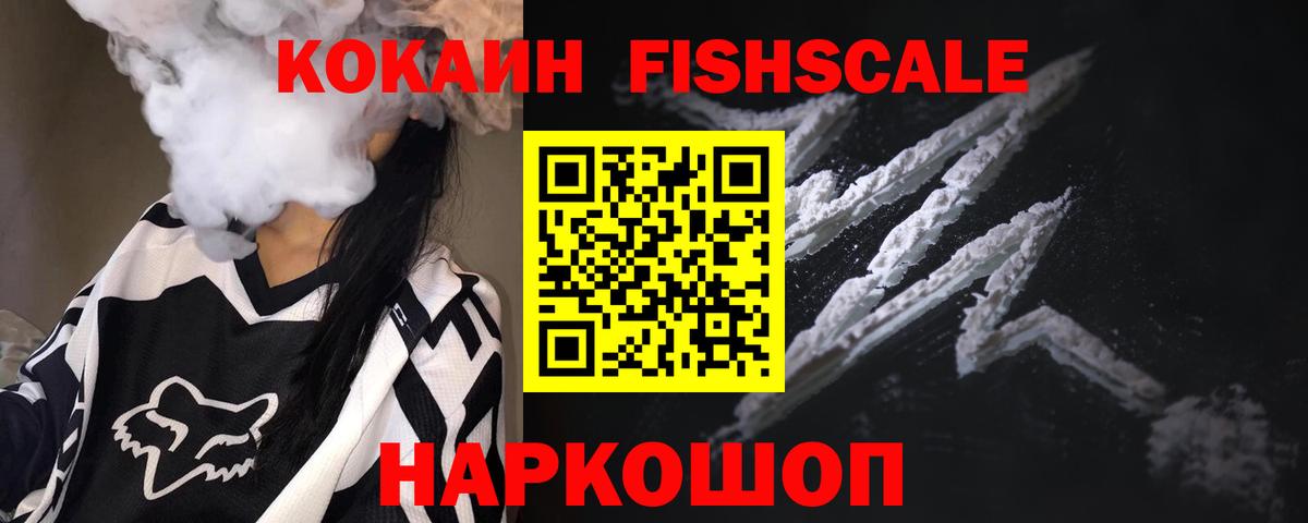 COCAIN Fish Scale  Вход с VPN  Нижний Новгород  COCAIN  COCAIN VHQ 