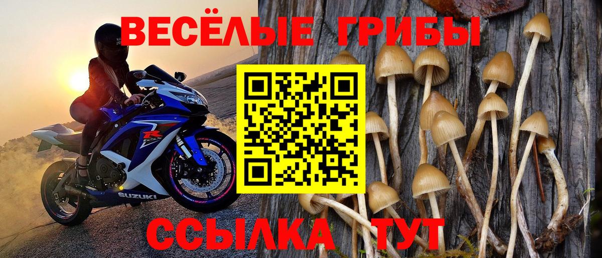 Нижний Новгород  Галлюциногенные грибы Magic Shrooms  наркошоп  Вход с VPN 