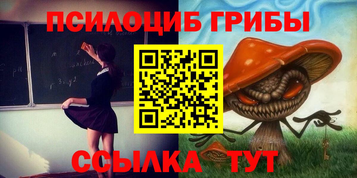 Бошки Шишки Нижний Новгород